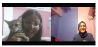 Interview session with a stakeholder